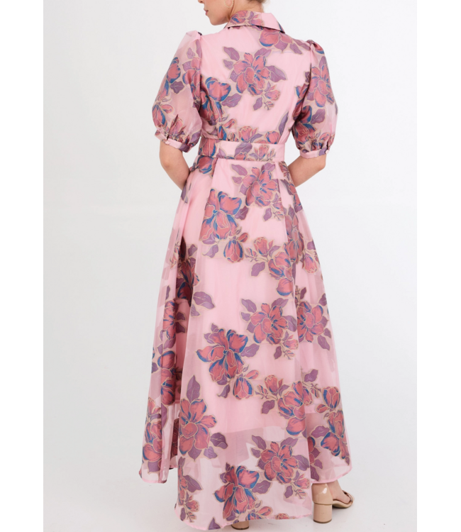 Abbey Glass Charlotte Gown #1063
