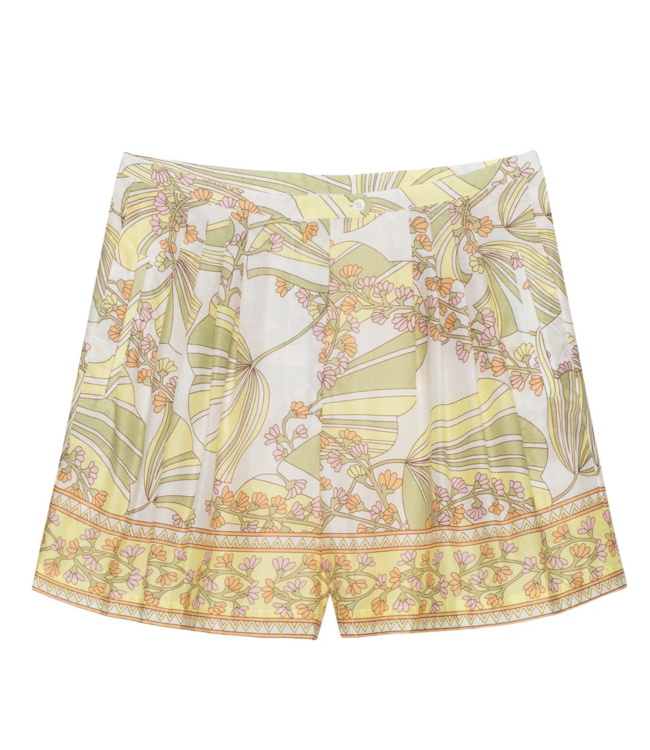 Sundays 25-22-008 Cezanne shorts