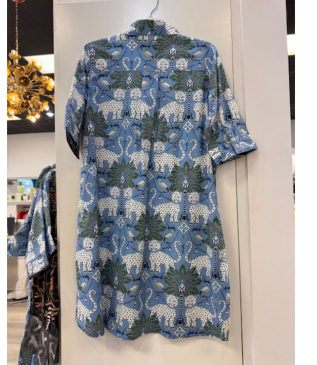 Dizzy Lizzie Chatham dress #615