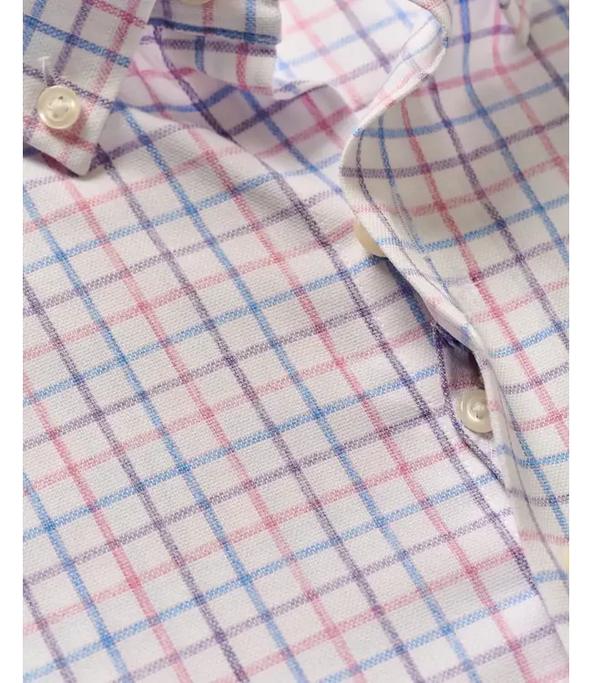 Paddock Tattersall Everyday Performance Button Down Shirt