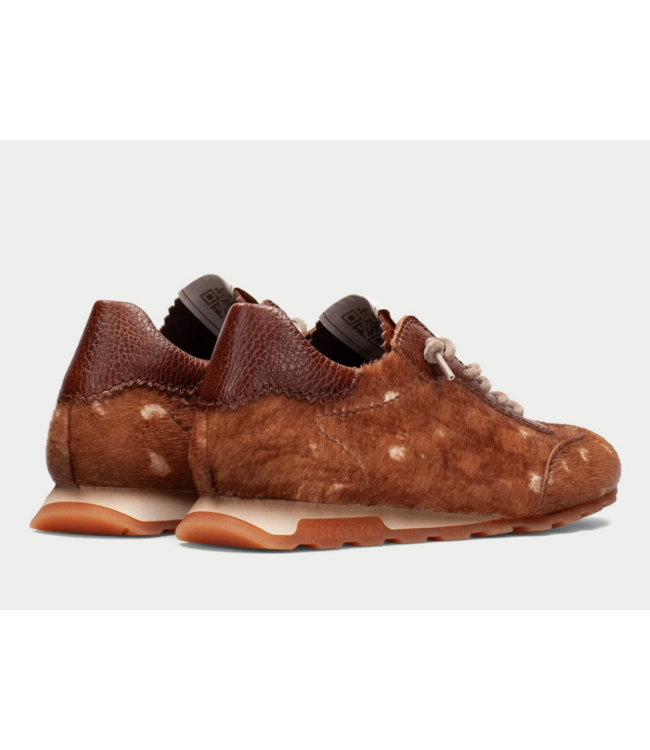 Hispanita Zinnia Sneaker