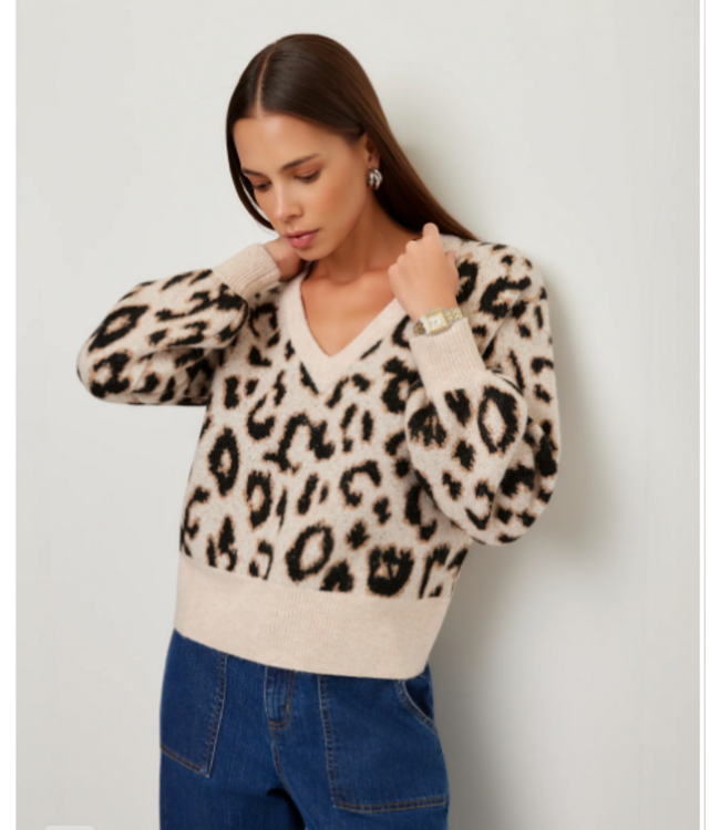 Fifteen Twenty Elodie Blouson Sleeve Sweater- # 3F89359