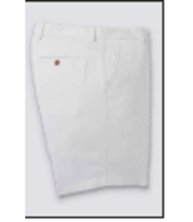 Stateline Twill Short