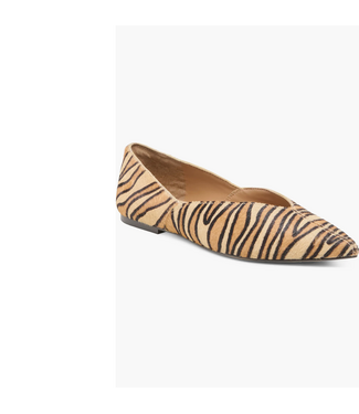 dolce vita Dolce Vita Gema Pointed Toe Flat
