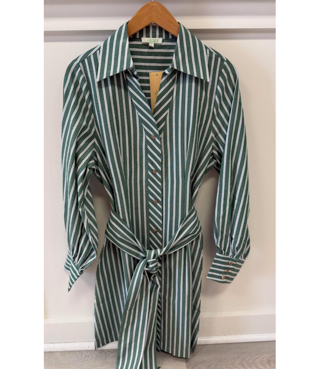 Jade Collar Waist Pleat Shirtdress #8018