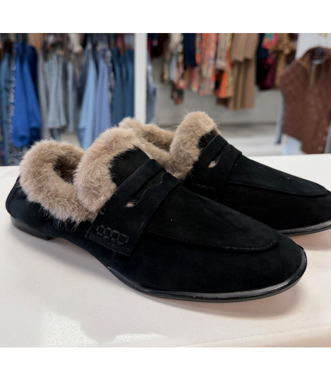 Dolce Vita Cloey Plush Suede Loafer