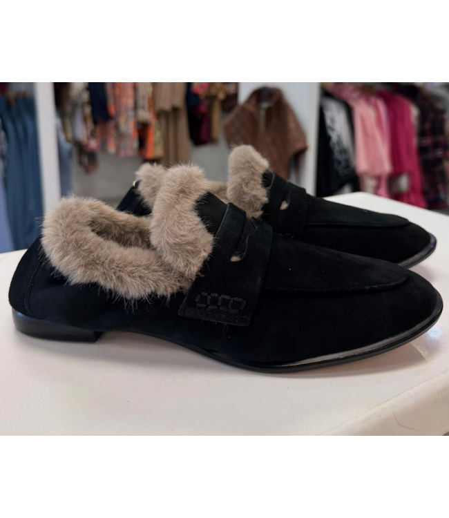 Dolce Vita Cloey Plush Suede Loafer