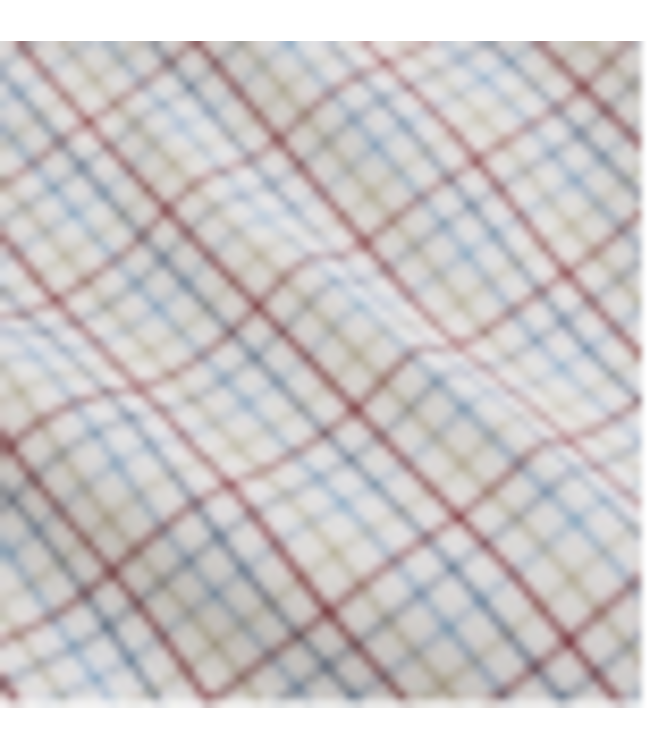 Eucalyptus Hillcrest Cotton Sports Shirt #4405857