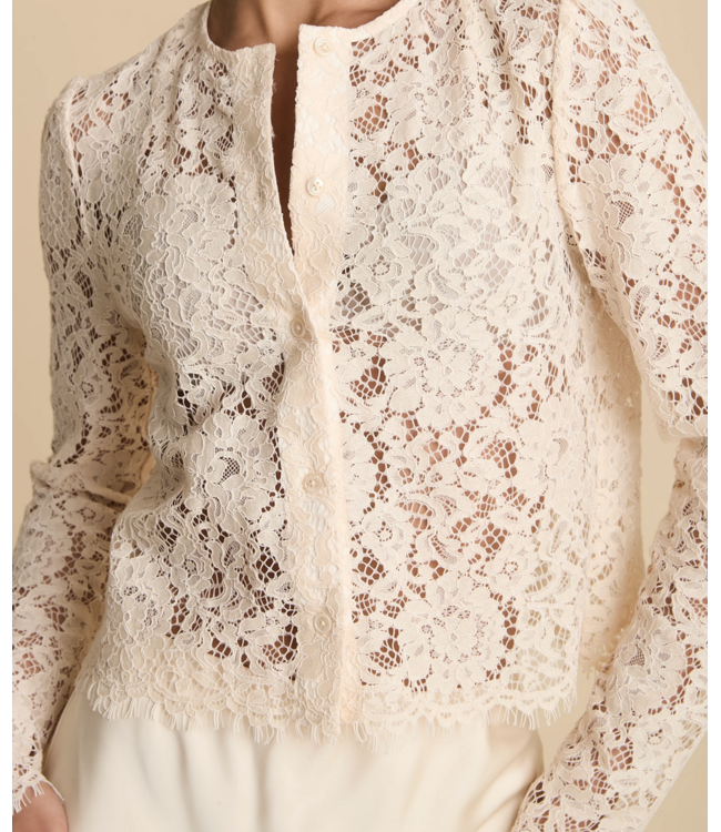 Sundays Reed Top #107