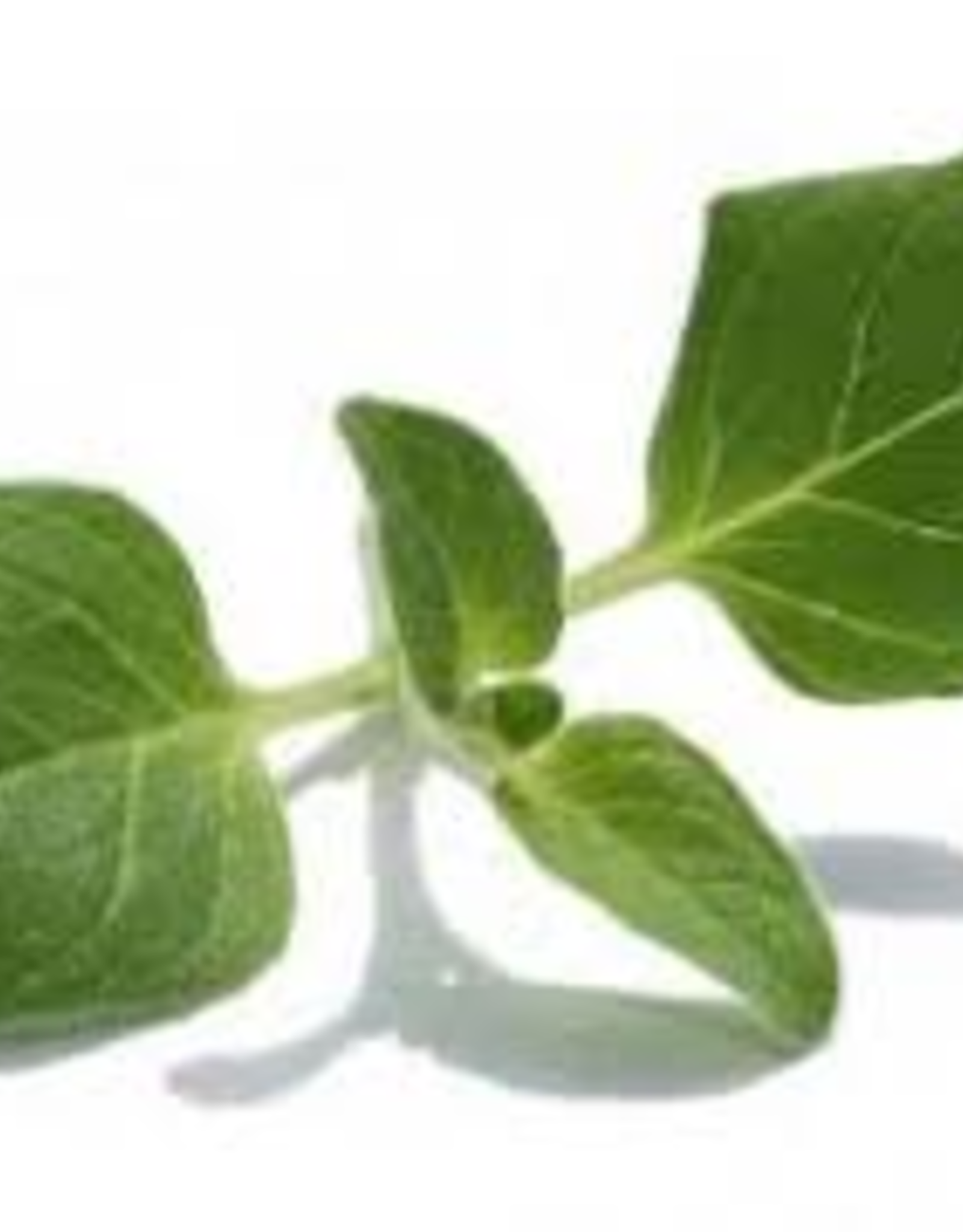 Oregano White Balsamic