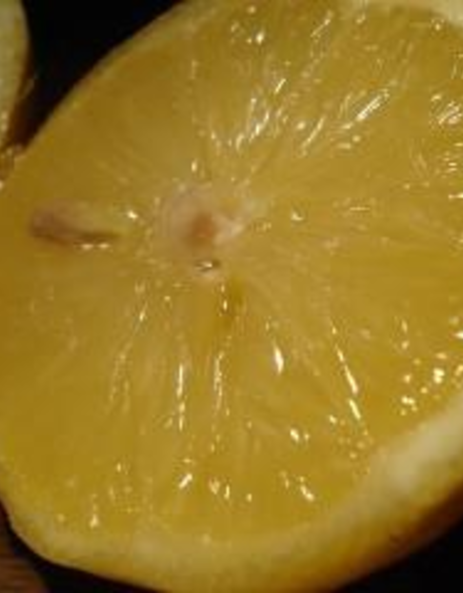 Sicilian Lemon