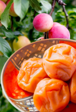 Umeboshi Plum White Balsamic