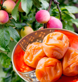 Umeboshi Plum White Balsamic