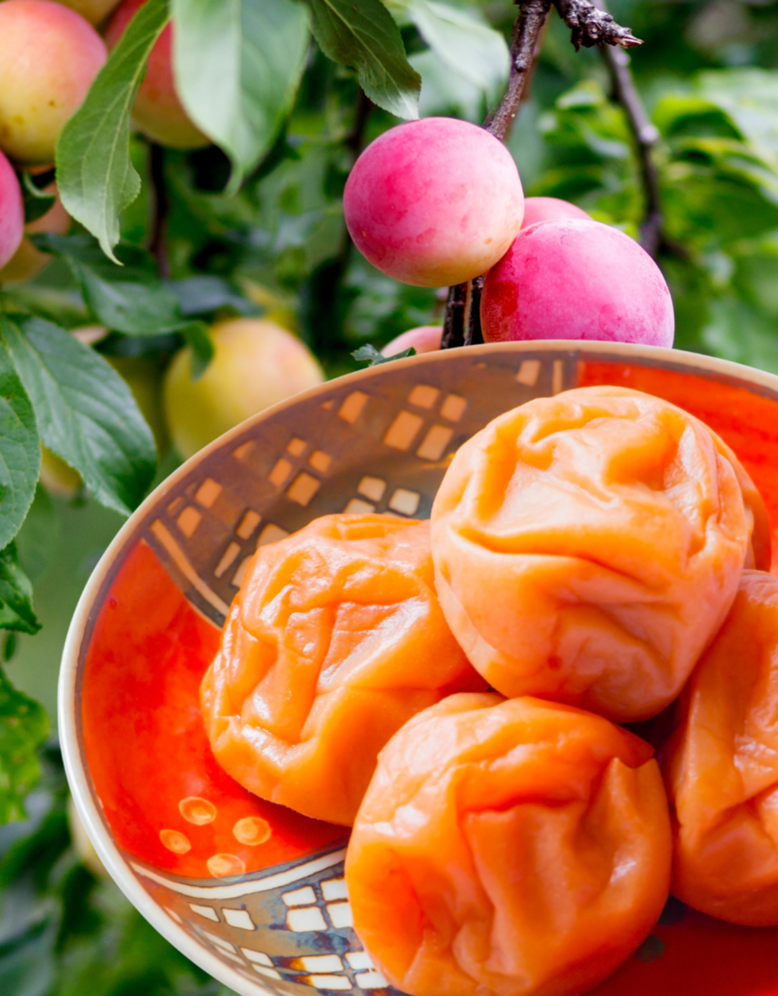 Umeboshi Plum White Balsamic