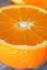 Sweet Valencia Orange Sweet Valencia Orange