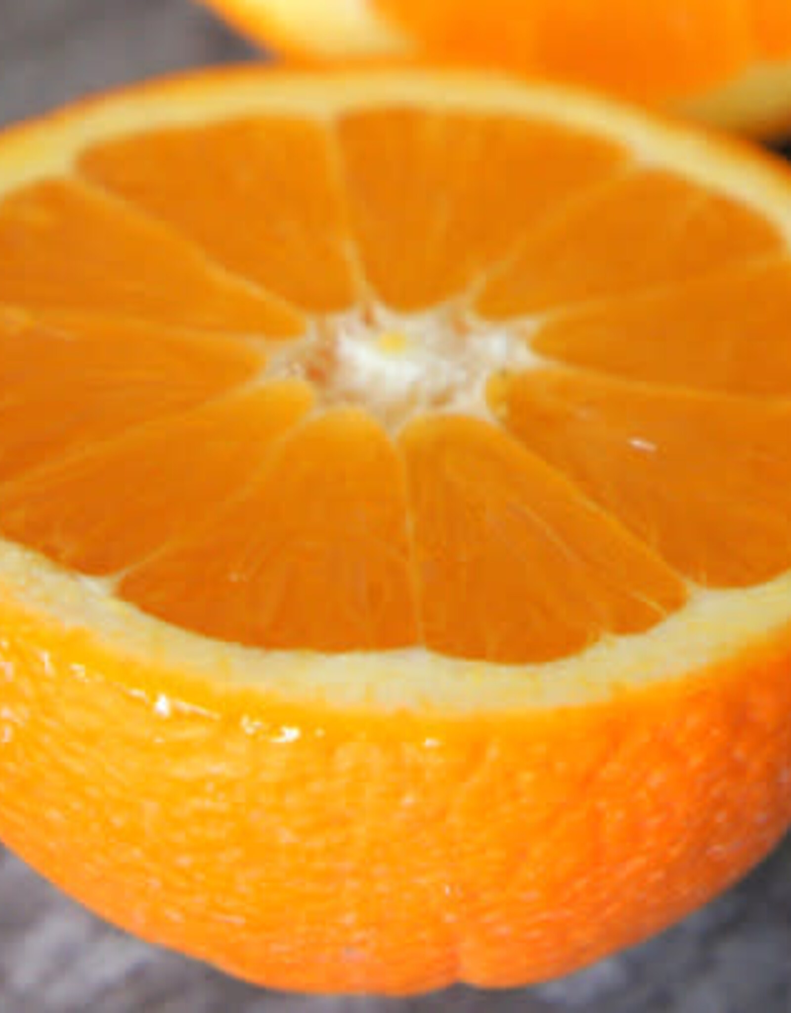 Sweet Valencia Orange