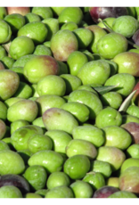 Coratina EVOO - IOO581 (Robust)