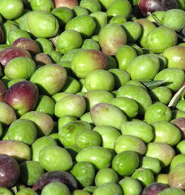 Barnea EVOO - IOO355 (Robust)