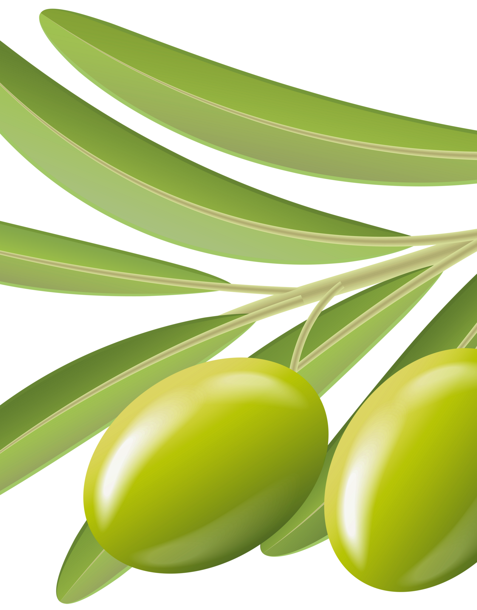 Manzanillo EVOO - IOO085 (Robust)