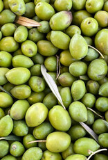 Picual EVOO - IOO963 (Medium-Robust)