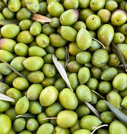 Picual EVOO - IOO963 (Medium-Robust)