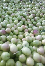 Arbosana EVOO - IOO303 (Mild)