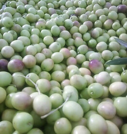 Arbosana EVOO - IOO303 (Mild)