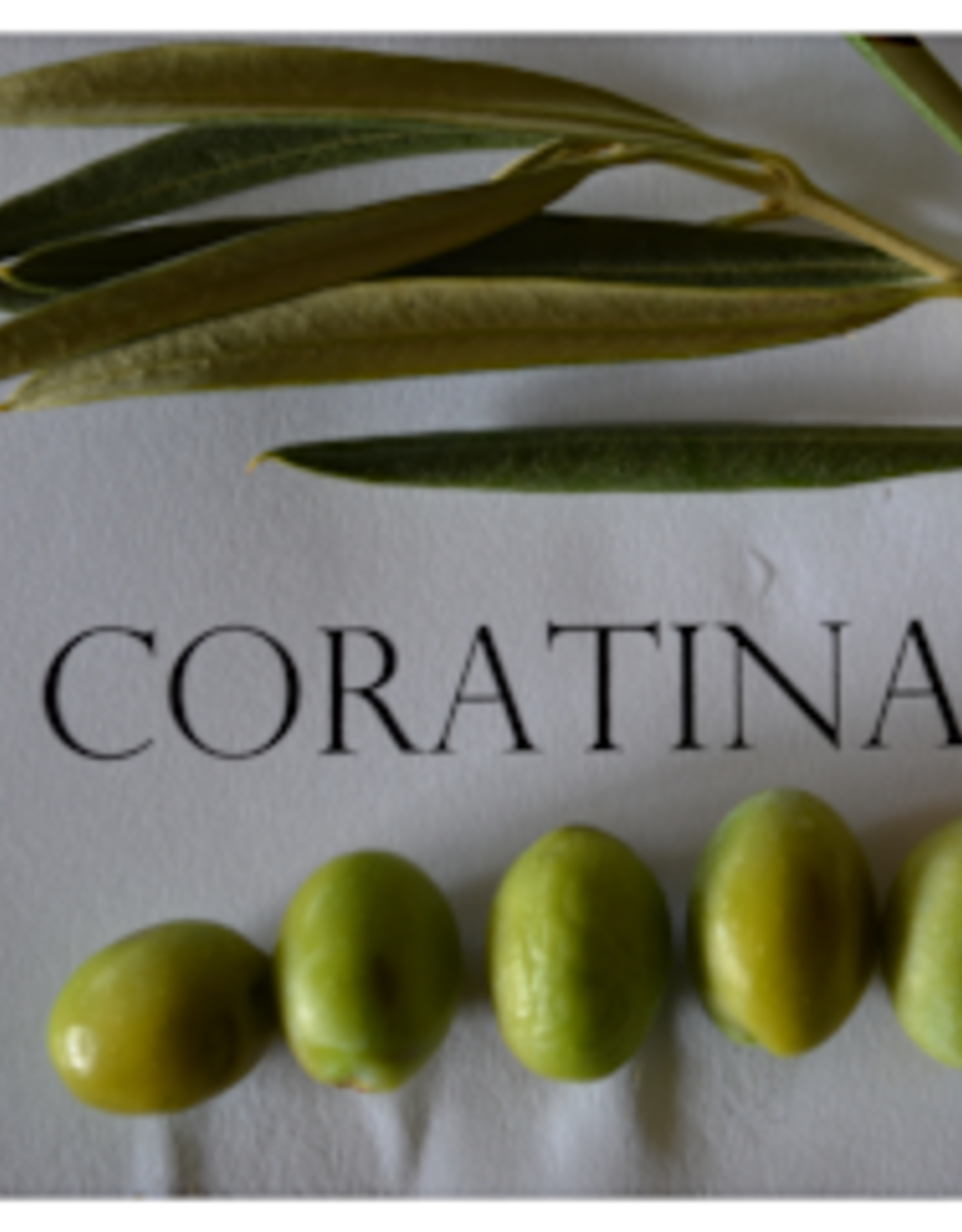 Coratina EVOO - IOO588 (Medium)