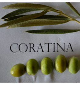 Coratina EVOO - IOO993 (Medium)
