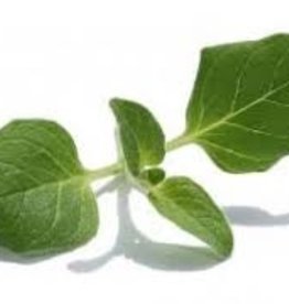 Oregano White Balsamic
