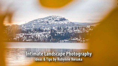 Intimate Landscapes - Photography Ideas from Photographer Robynne Ikesaka