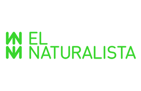 El Naturalista - Heart and Sole Shoes