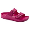 Birk EVA