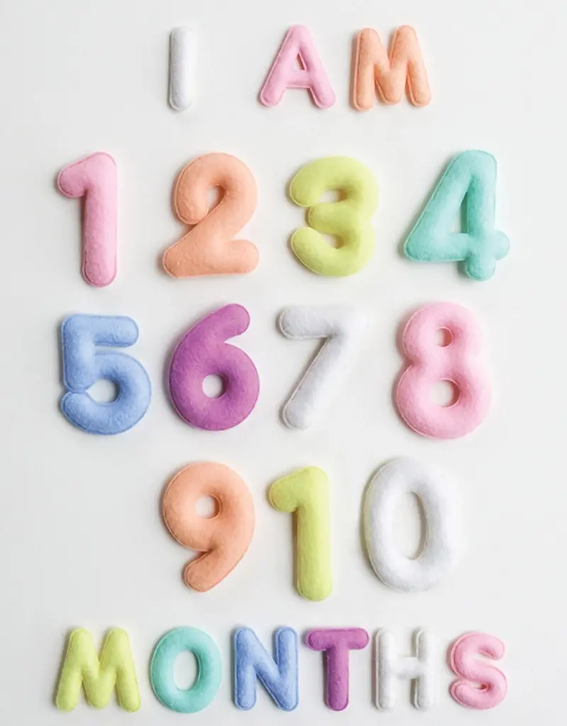 Lucy Darling Pastel Monthly Milestone Felt Letters