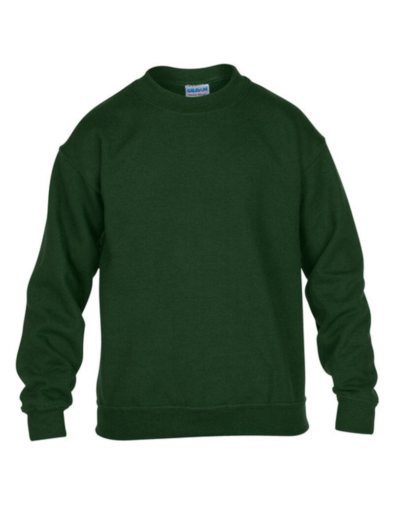 Gildan Crewneck Sweatshirt Youth