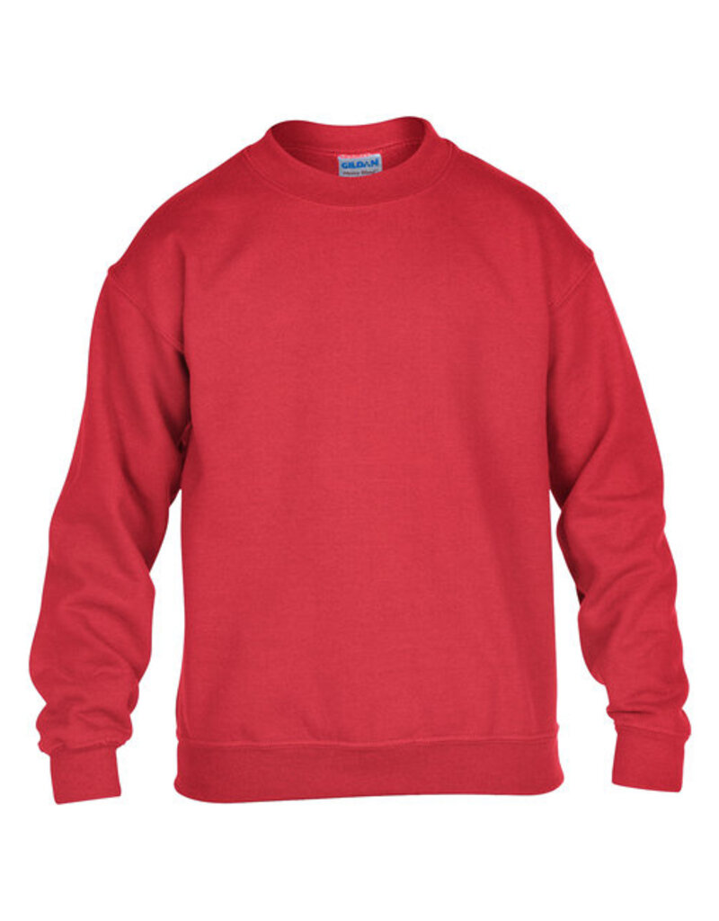 Gildan Crewneck Sweatshirt Youth