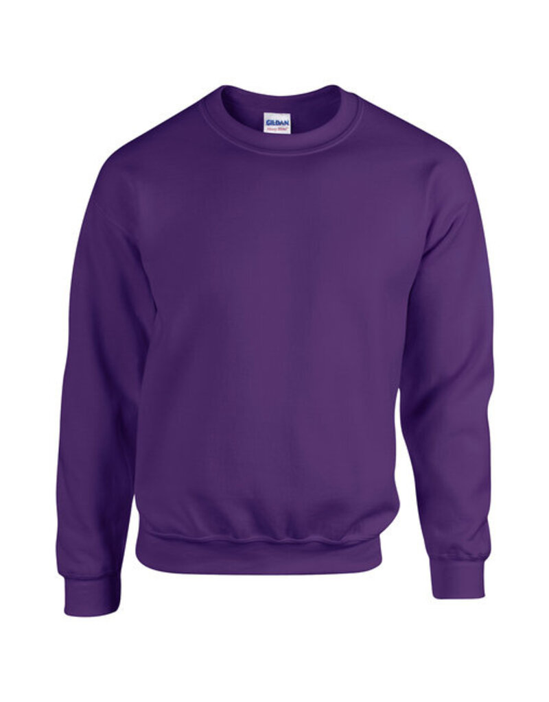 Gildan Crewneck Sweatshirt Youth