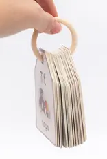 Good Ground Bible ABC Flash Cards