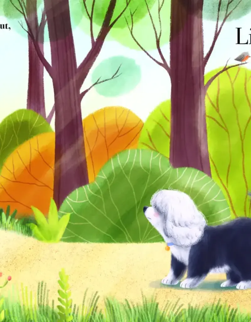 Sourcebooks What Little Boys Are Made Of