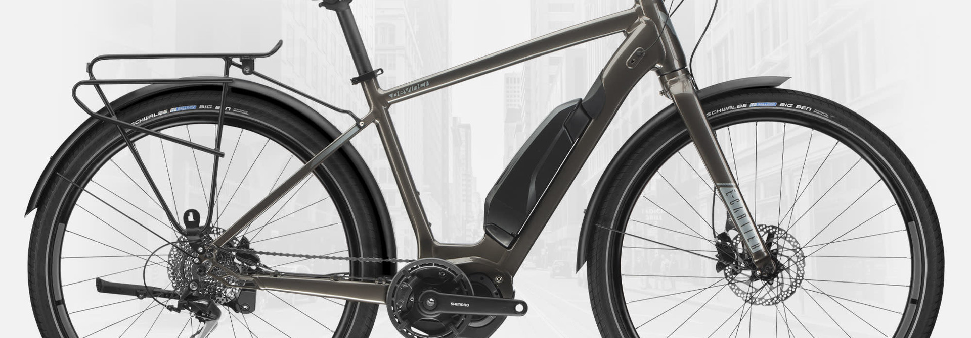 Devinci E-Cartier