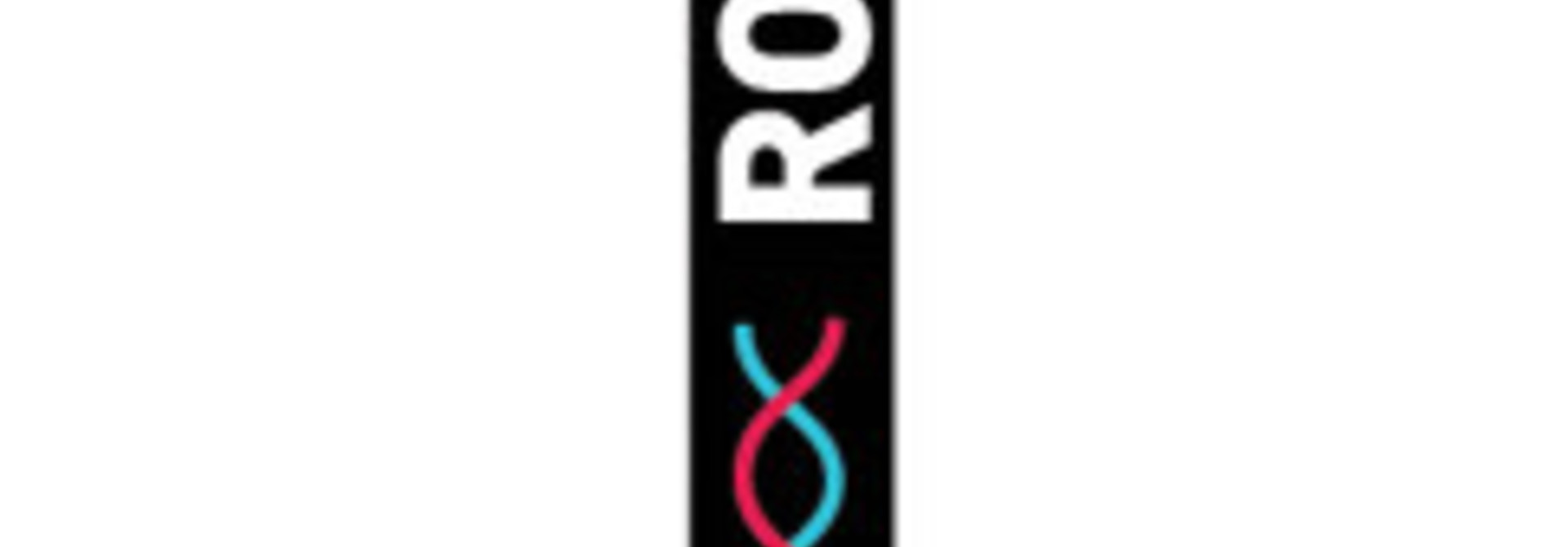 Rossignol Double Diamond Pro