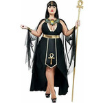 starline Empress Divine-Plus