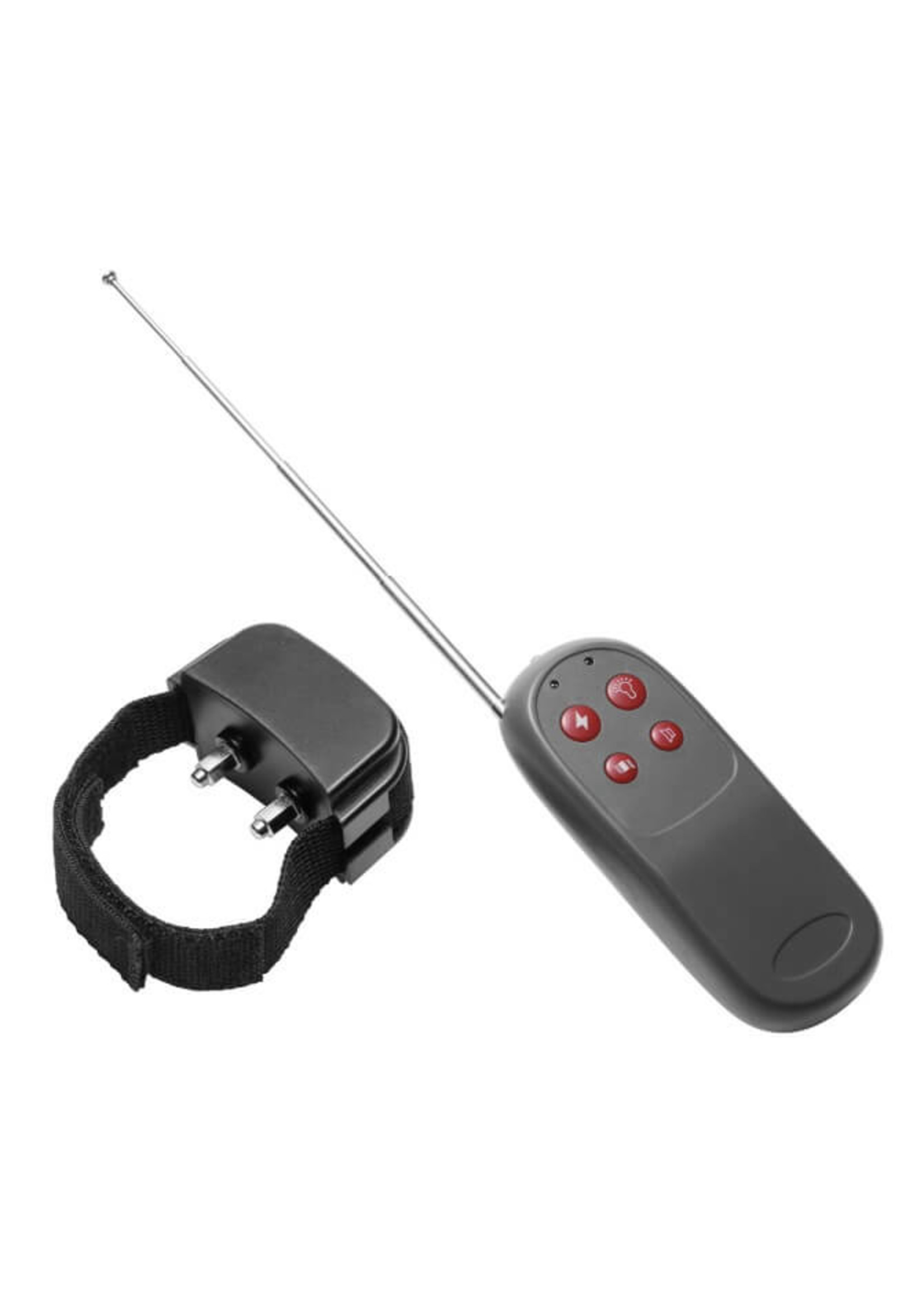 Cock Shock Remote CBT Electric Cock Ring