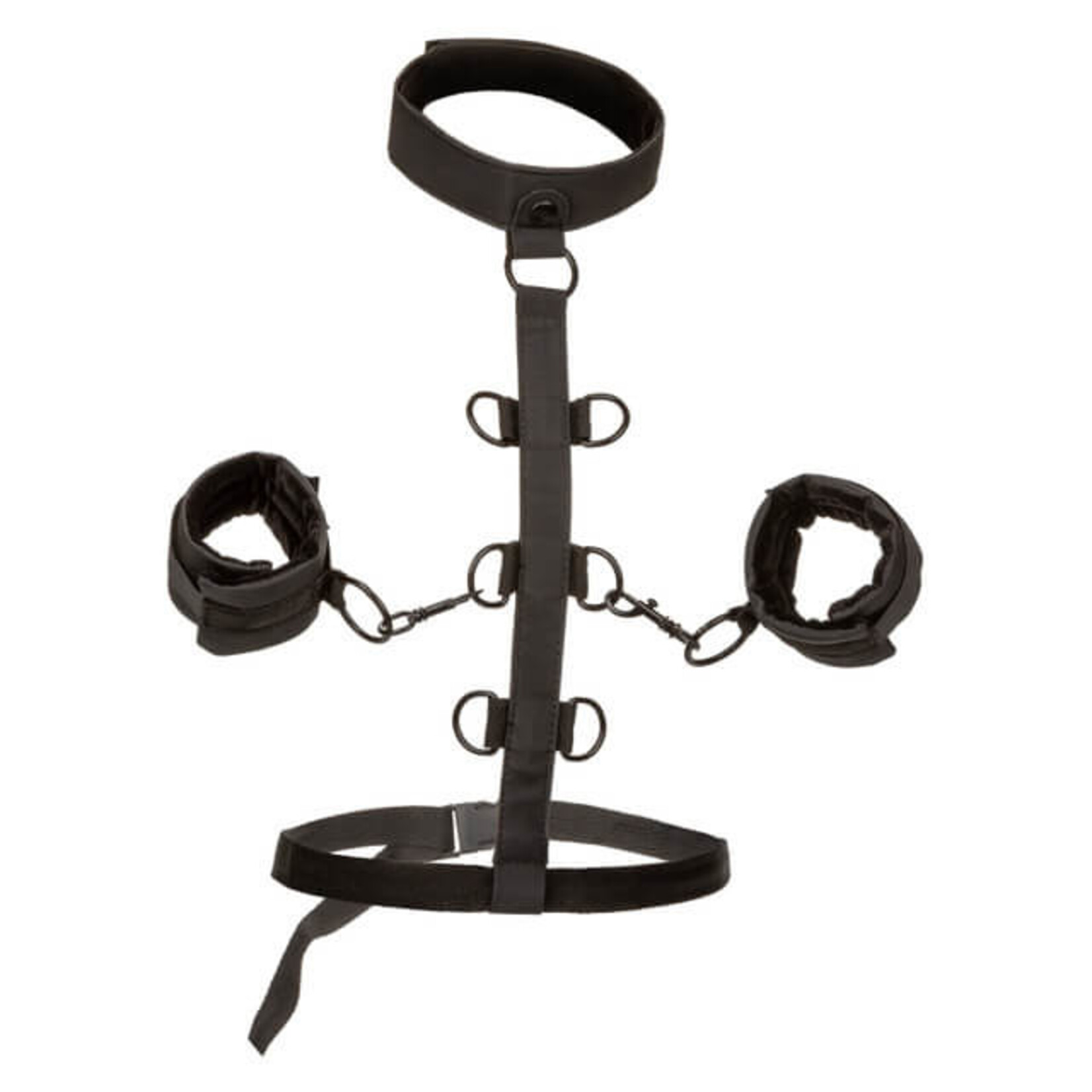 Cal Exotic Novelties Boundless Collar Body Restraint