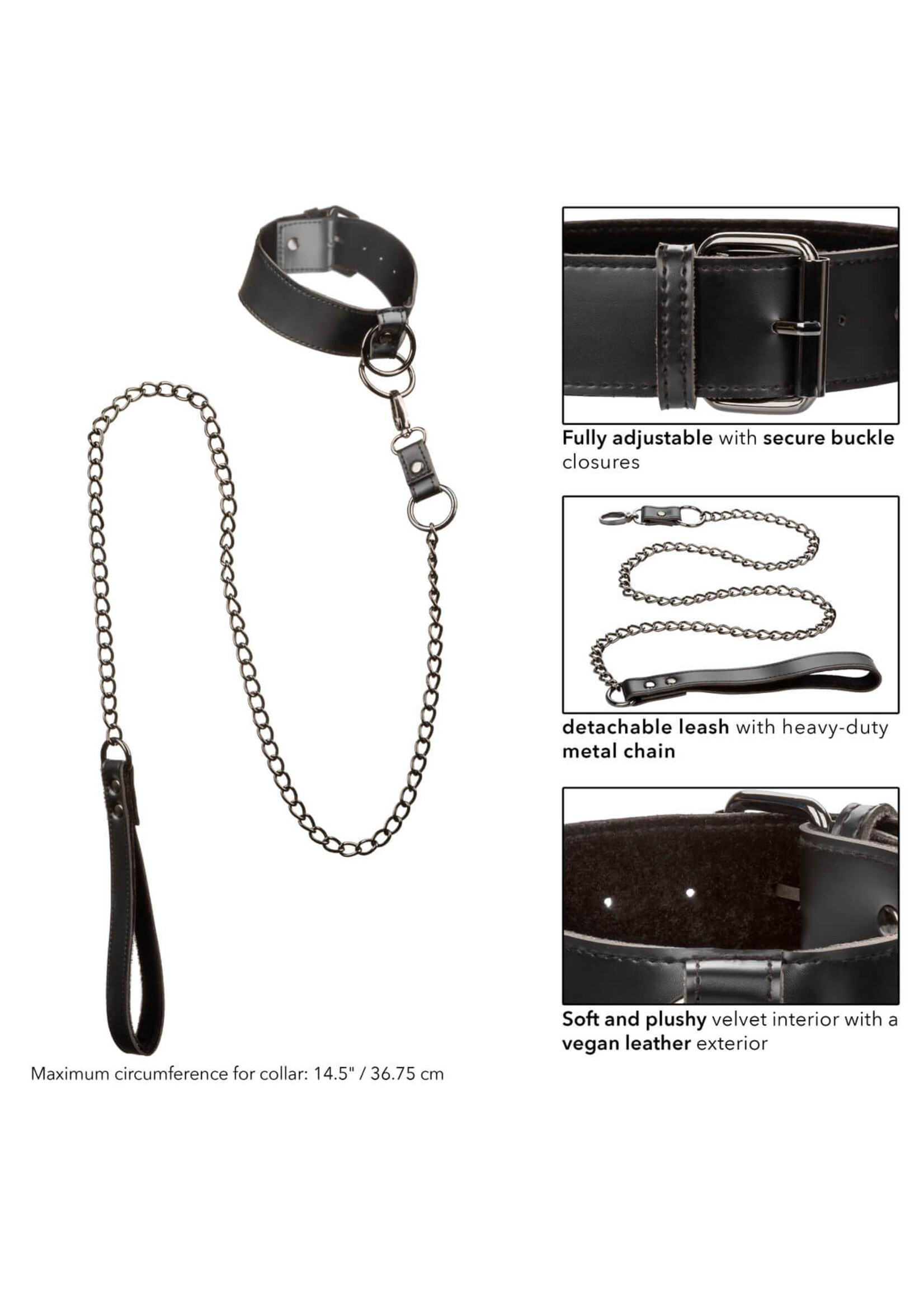 Euphoria Collection- Collar w/Chain Leash