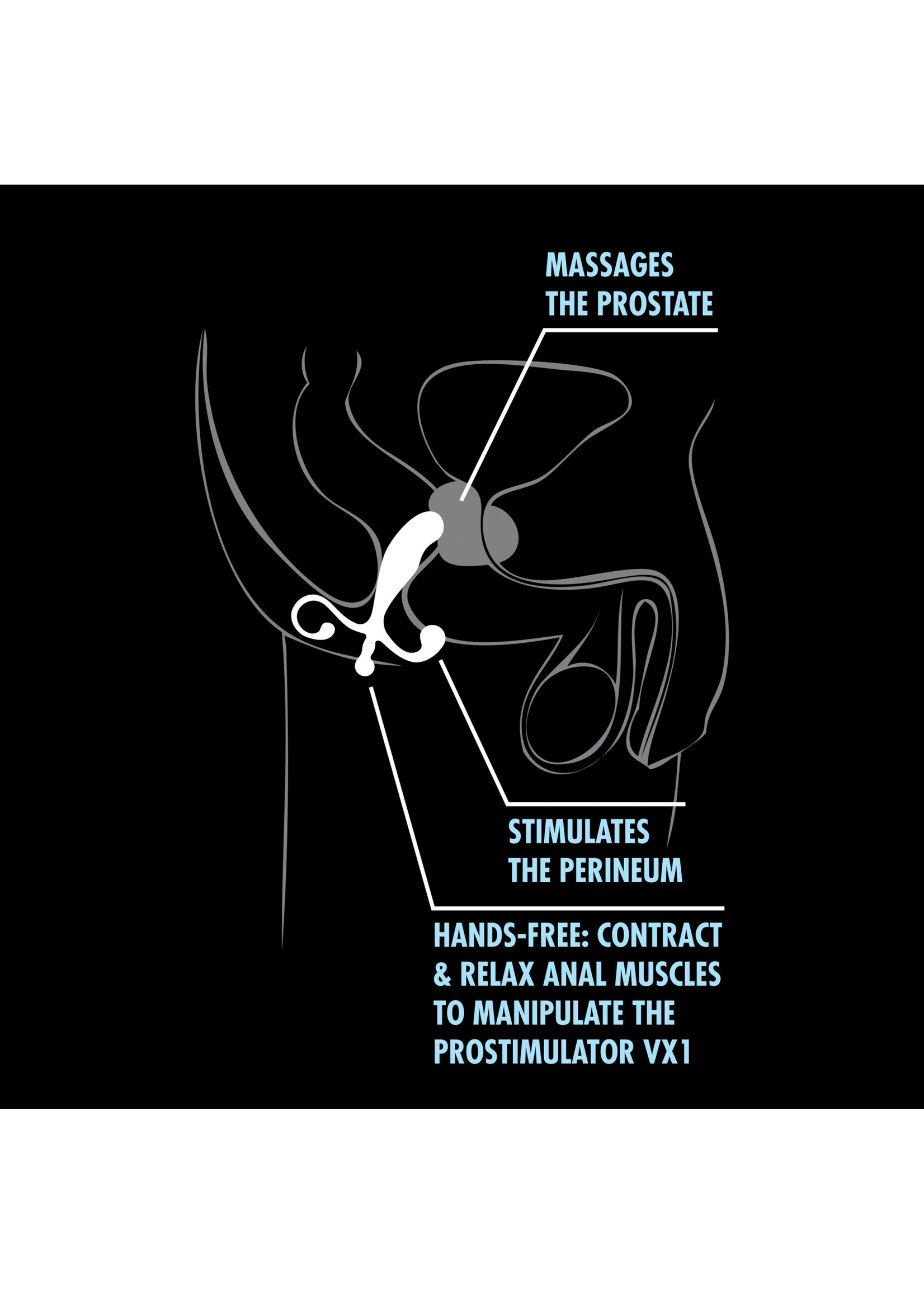 Blush Prostimulator VX1