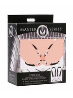 Spread- Labia Spreader Straps with Clamps