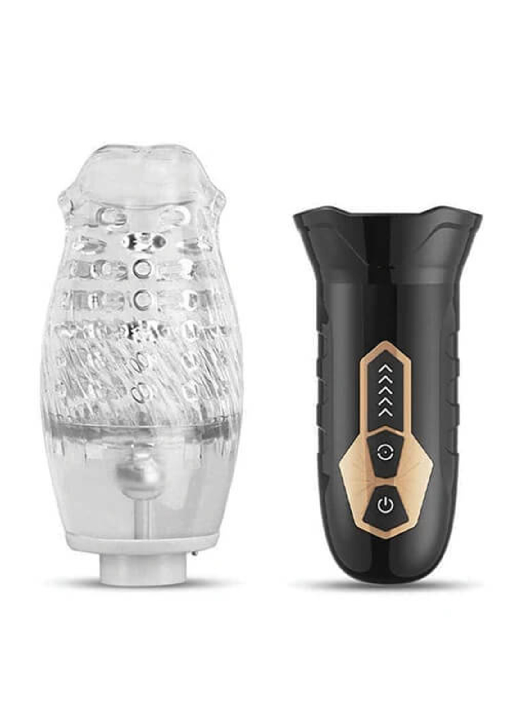 The Male Rose The Male Rose