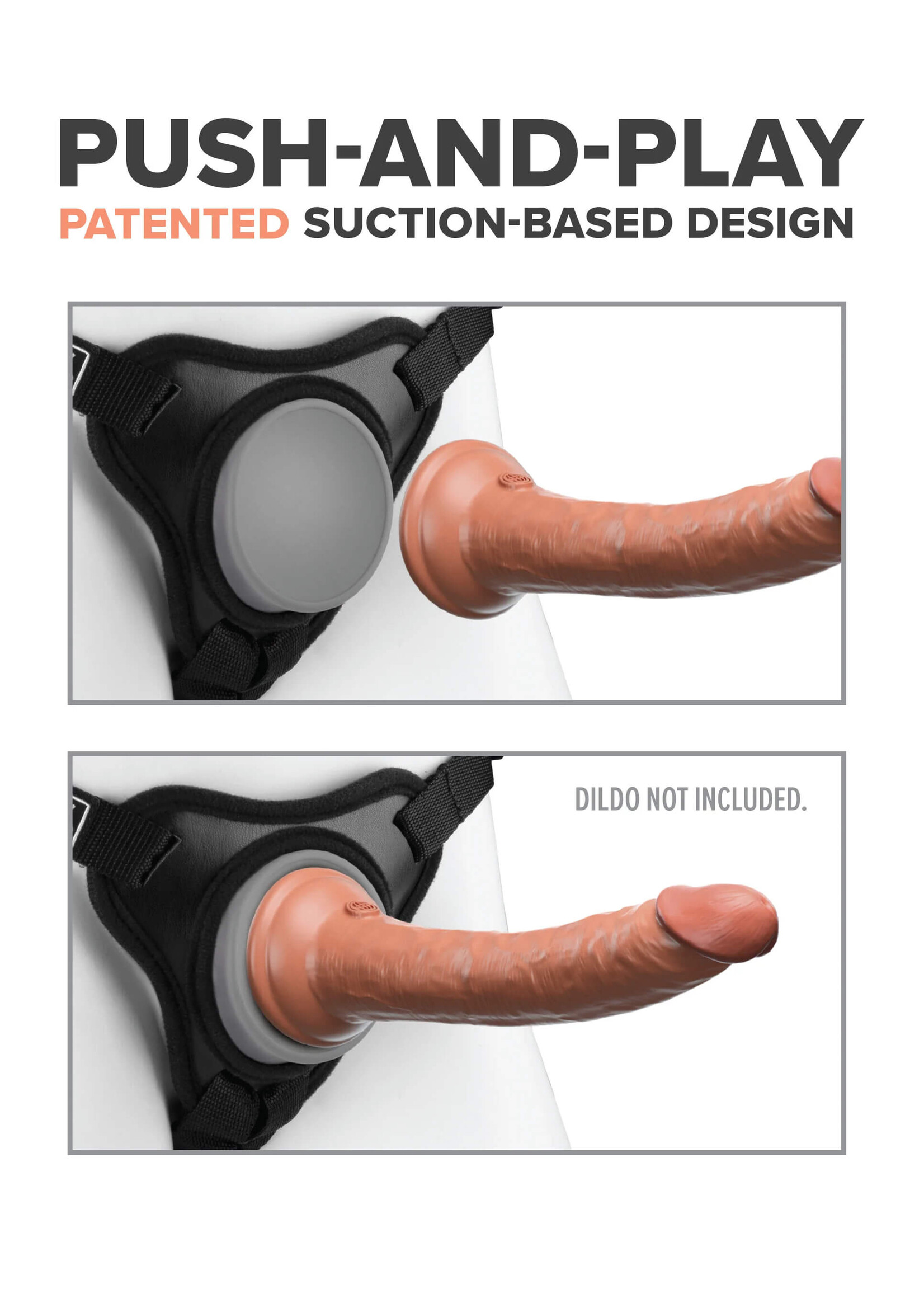 Body Dock Body Dock Elite Mini