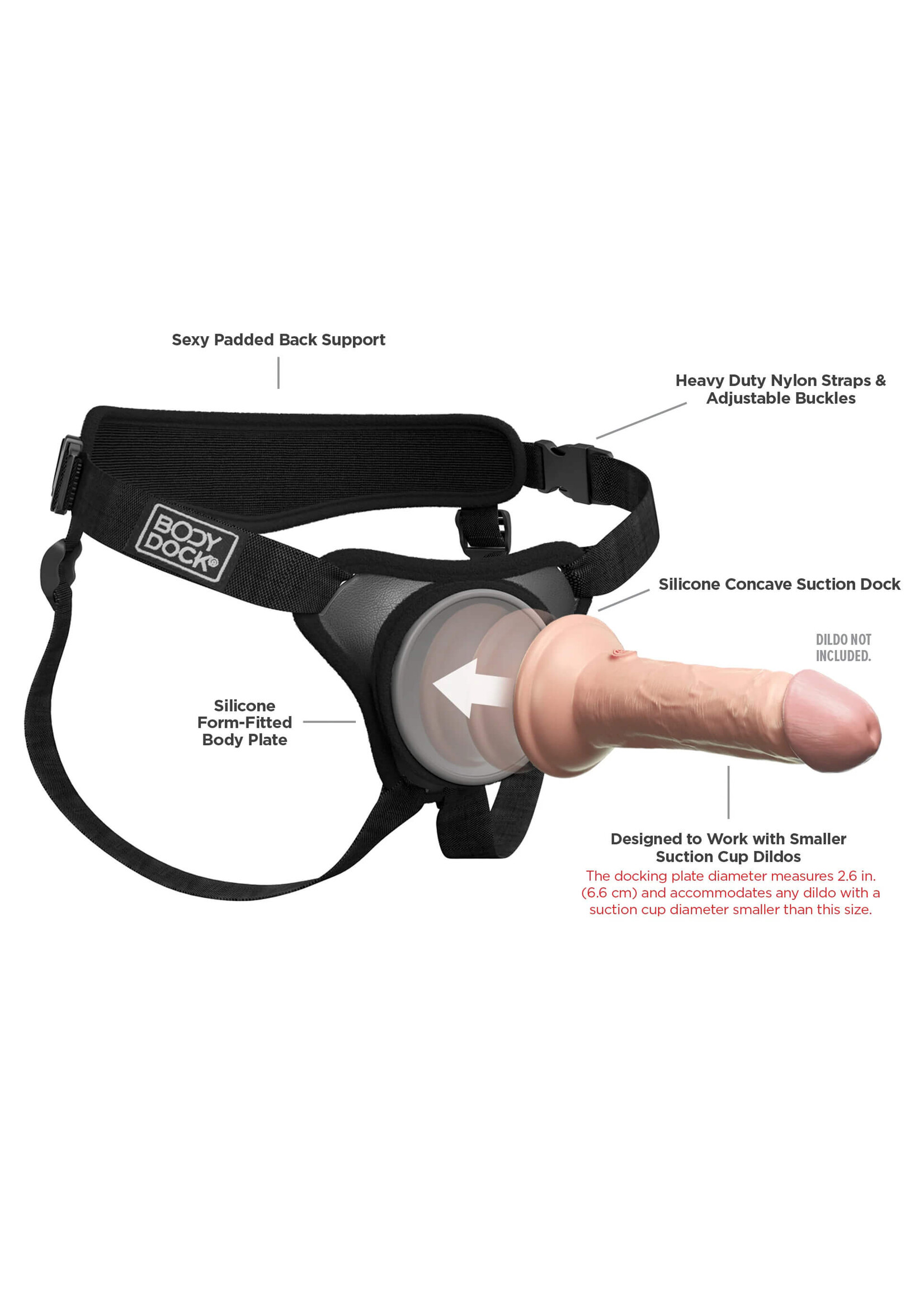 Body Dock Body Dock Elite Mini